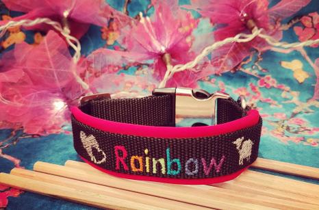 collier Rainbow